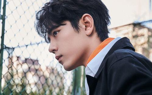 有关肖战八卦爆料最新,揭秘娱乐圈最新八卦爆料  第2张