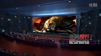 哈尔滨万达爆料视频,项目进展与幕后故事 第2张 哈尔滨万达爆料视频,项目进展与幕后故事 第2张